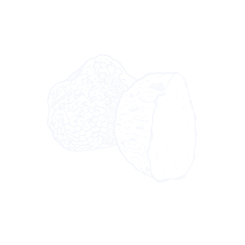 bog